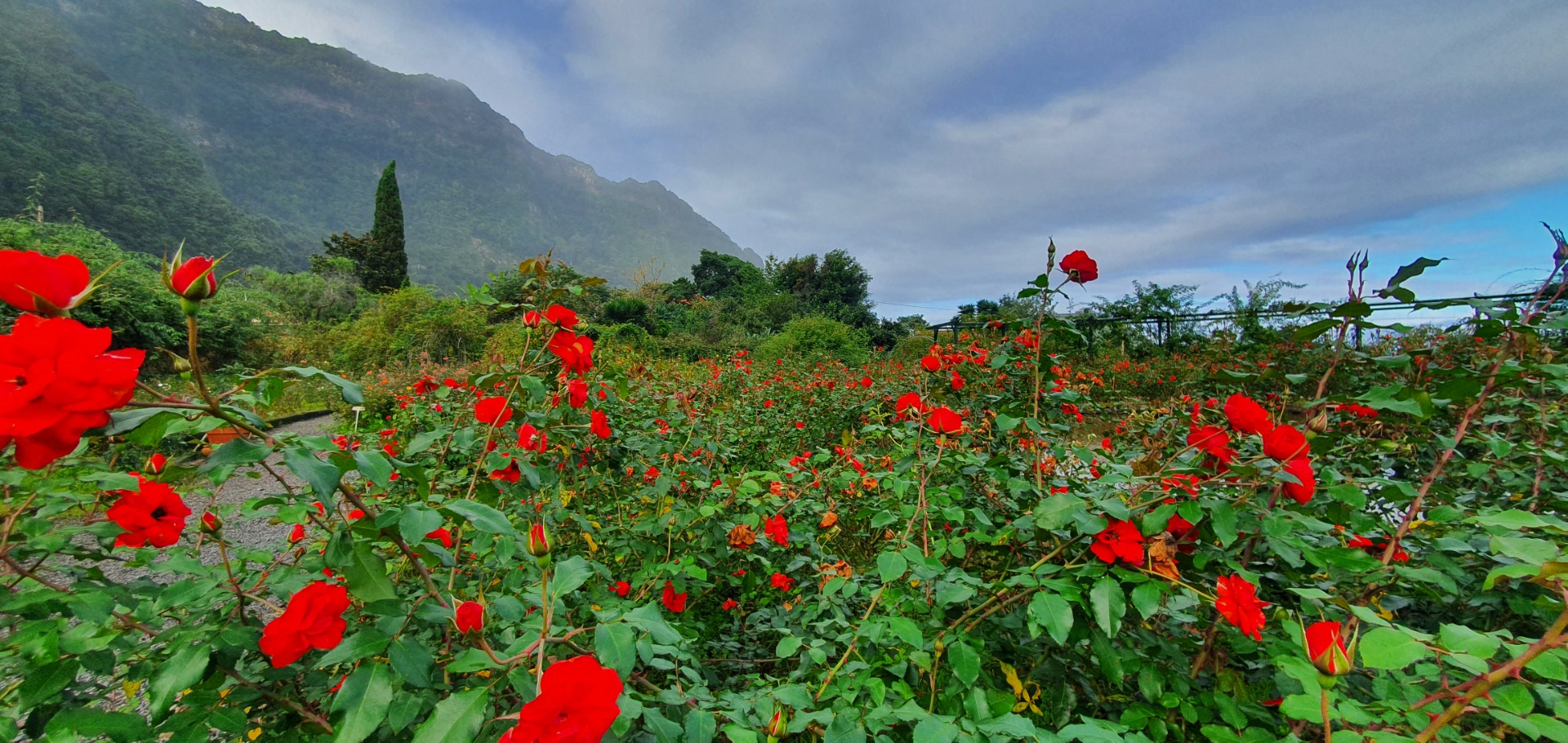 Das Wetter in Madeira im März Klimavorhersage mit Tipps